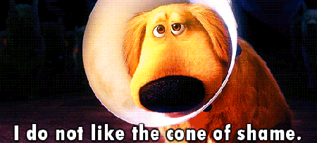 dug-will-put-a-smile-on-your-face-10-gifs-4