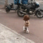 best-photos-of-the-week-99-photos-231