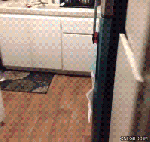 the-weekend-is-in-sight-now-we-just-dgaf-29