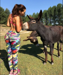 HappyHumpDayPets.102