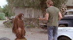 wake-up-to-glorious-childhood-nostalgia-you-know-you-want-to-35-photos-4