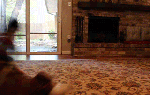 weekend-morning-awesomeness-35-photos-215