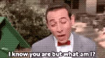 pee-wee-GIF-10-what-am-I-2